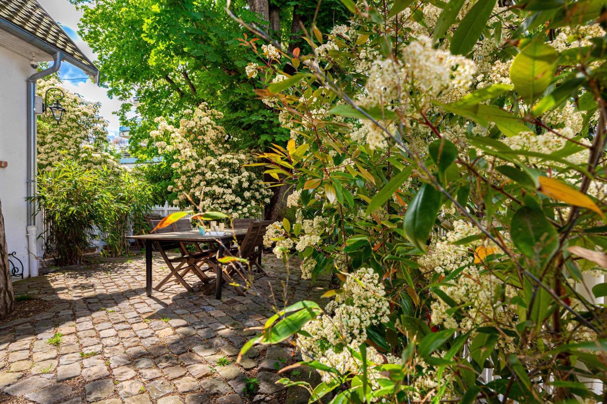 Grand & Classy Apartment With Private Garden, Villa Des Ammonites Мёдон Экстерьер фото